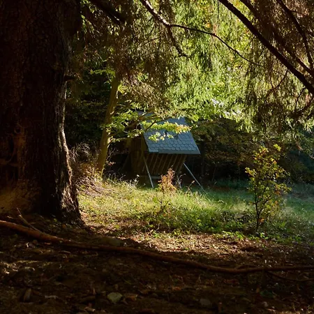 Alpesi faház Miso *