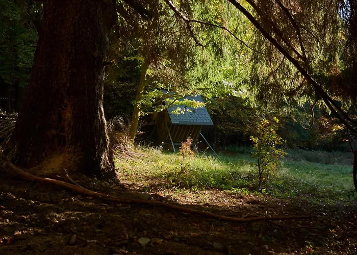 Miso Horská chata *